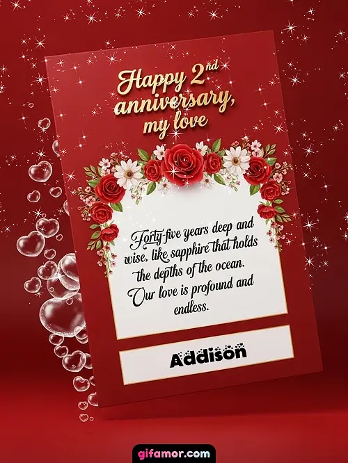 Happy 2st anniversary, my love II Addison
