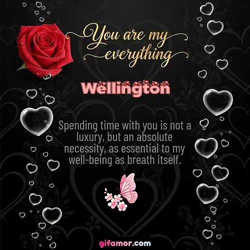 You are my everything I Wellington